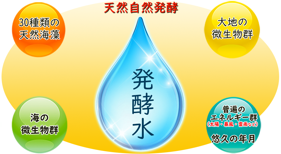 天然自然発酵